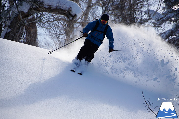 札幌国際スキー場 Welcome back POWDER SNOW !! ～パウダースノー復活～